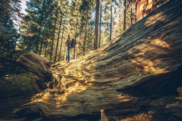 Quels sont les secrets des marchés de nuit en Asie du Sud-Est ?